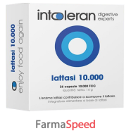 intoleran lattasi 10000 36 capsule