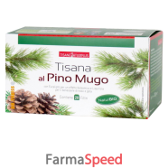 naturplus tisana pino mugo20fi