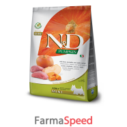 n&d gf p boar&app ad m