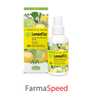 i sorbetti lemonfizz acqua idr