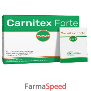 carnitex forte 14bust