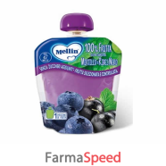 pouch mirtillo ribes 90 g