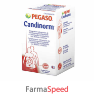 candinorm 30 capsule