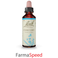 chicory original 20 ml