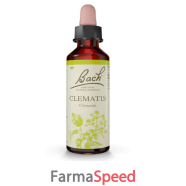 clematis bach original 20 ml