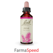 pine bach original 20 ml