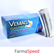 vemag gastro 20 stick