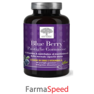 blue berry 60past gommose