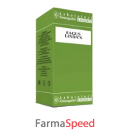 fagus lindas gocce 30 ml