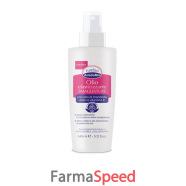 euphidra amido elastic smaglia