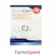 cer pic cicatrizzante 10x7,5 5