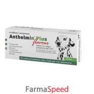 anthelmin plus flavour*2cpr