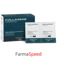 principium collag mar 20bust